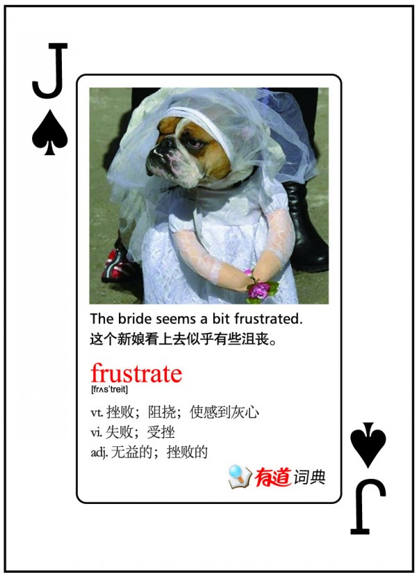 最新款有道卡片广告扑克